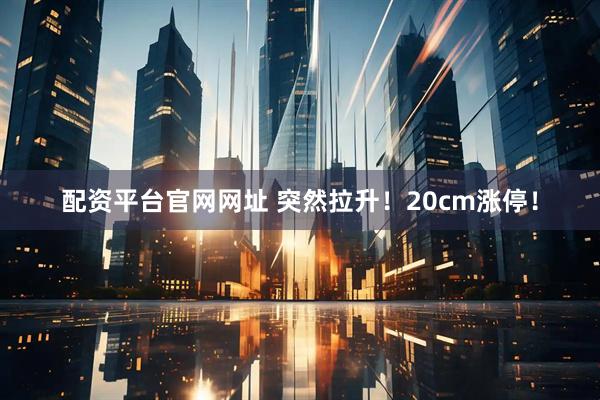 配资平台官网网址 突然拉升！20cm涨停！