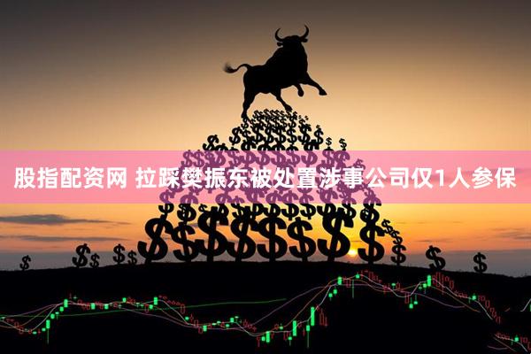 股指配资网 拉踩樊振东被处置涉事公司仅1人参保