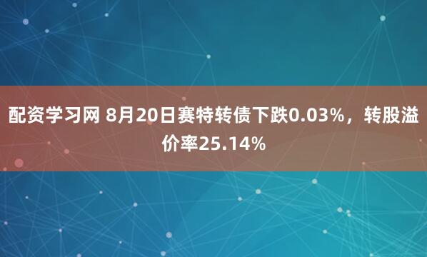 配资学习网 8月20日赛特转债下跌0.03%，转股溢价率25.14%