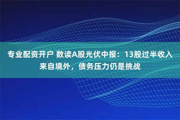 专业配资开户 数读A股光伏中报：13股过半收入来自境外，债务压力仍是挑战