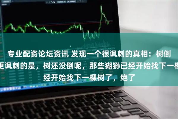 专业配资论坛资讯 发现一个很讽刺的真相：树倒猢狲散，但更讽刺的是，树还没倒呢，那些猢狲已经开始找下一棵树了，绝了