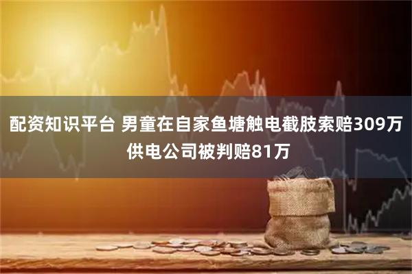 配资知识平台 男童在自家鱼塘触电截肢索赔309万 供电公司被判赔81万